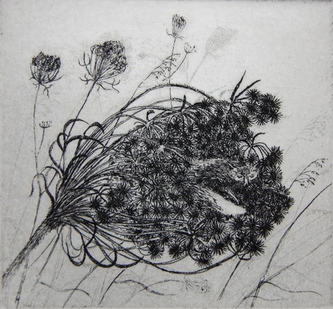 Flora McLachlan 'Seednest', limited edition etching 7x8cm Artist's Proof (unframed)