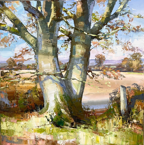 Jonathan Pocock 'Headland Oak' oil on linen 50x50cm