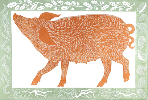 Lizzie Wheeler 'The Marmalade Tamworth' linoprint 42x62.5cm