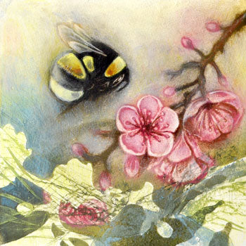 Louise Bird 'Bumblebee on Spring Blossom' mezzotint and collagraph with hand tinting 14x14cm (unframed)