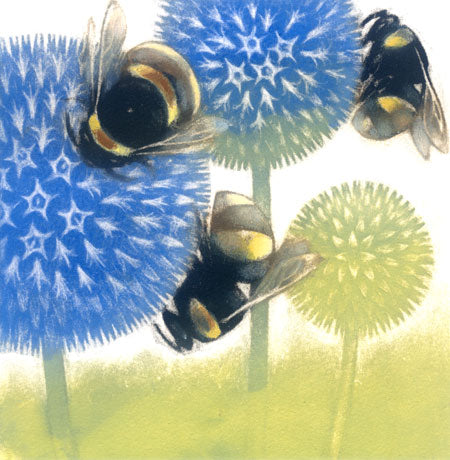 Louise Bird 'Echinops in Flower' mezzotint with hand tinting 14x14cm