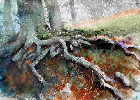 Rod Craig 'A Damp Place in the Wood' watercolour and gouache 39x27cm