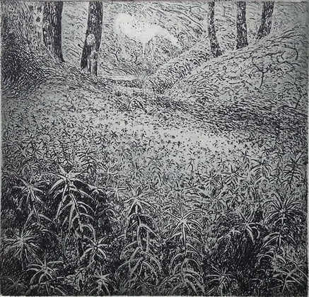 Flora McLachlan 'Moss' etching 9x9cm (framed)