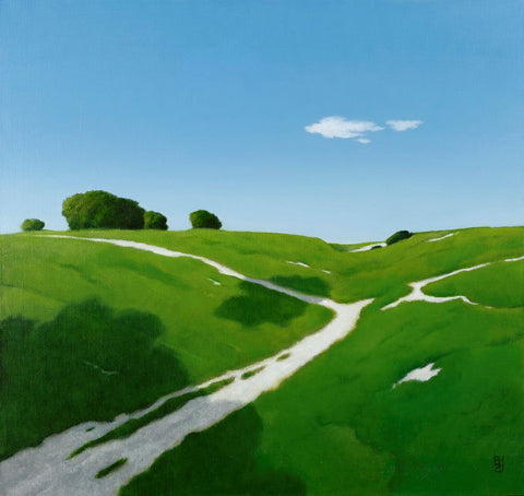 Michael Bennallack Hart 'On the Downs, Cloud Shadow' oil on canvas 72x76cm
