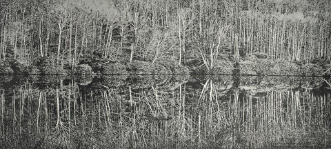 Trevor Price 'A Moment of Reflection II'  drypoint & engraved relief 47x102cm (unframed)