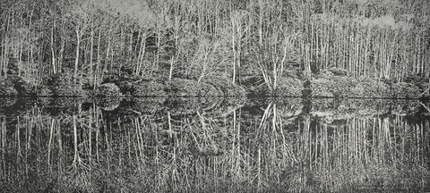 Trevor Price 'A Moment of Reflection II'  drypoint & engraved relief 47x102cm (unframed)
