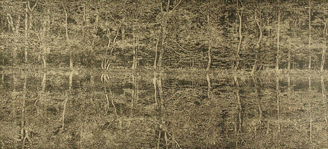 Trevor Price 'A Moment of Reflection I' drypoint & engraved relief print 47x102cm (unframed)