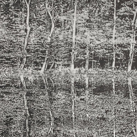 Trevor Price 'Reflections III' drypoint & engraved relief print 35.5x35.5cm (unframed)