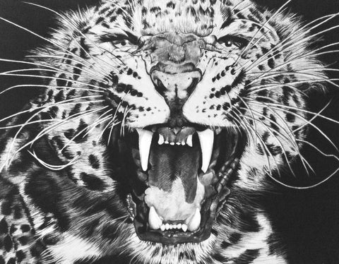 Violet Astor 'Amur Leopard' limited edition print 51x64cm