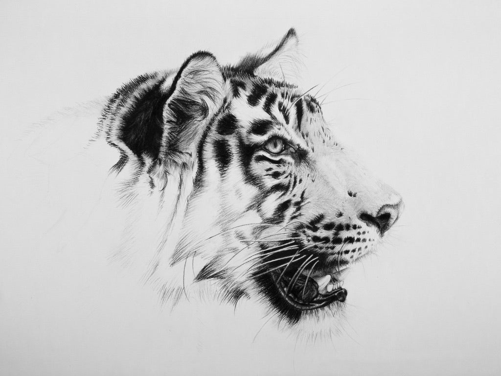 Violet Astor 'Stealth' limited edition print 51x64cm