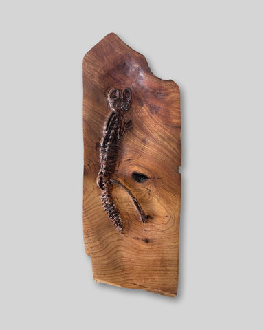 Alasdair Alexander 'Apateon (Fossil Lizard)' elm