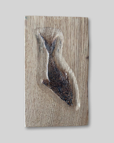 Alasdair Alexander 'Fossil Fish - Diplomystus' oak