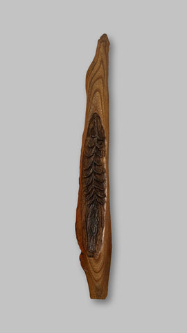 Alasdair Alexander 'Fossilised Seaweed (Crinoid)' elm