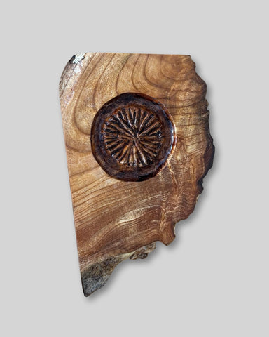 Alasdair Alexander 'Small Trilobyte' burr elm