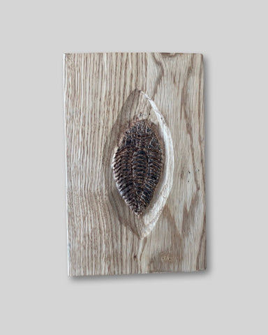 Alasdair Alexander 'Trilobyte' oak