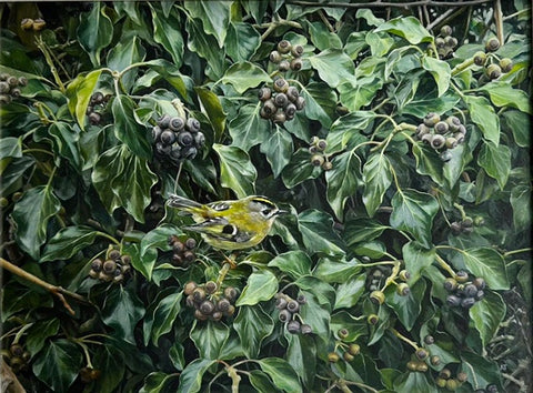 Andrew Tewson 'Goldcrest' oil on board 30x23cm (34.5x32cm framed)