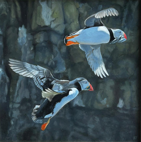 Andrew Tewson 'Puffins' oil on board 16x15cm (31x30cm framed)