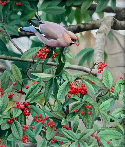 Andrew Tewson 'Waxwing' oil on board 20x17.5cm (36x23cm framed)