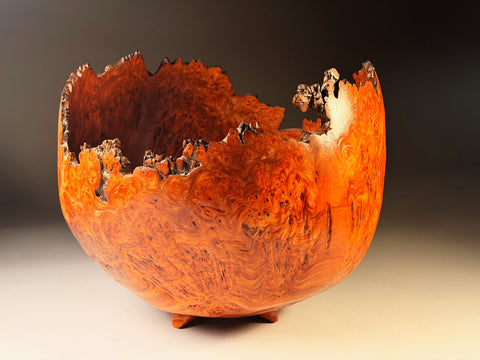 Angus Clyne 'Burr Elm Bowl No 119' 43x35.5cm (17x14ins)
