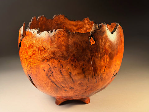 Angus Clyne 'Burr Elm Bowl No 17' 40.5x30.5cm (16x12ins)