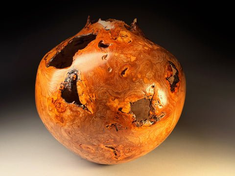 Angus Clyne 'Burr Elm Vessel No 59' 38x43cm (15x17ins)
