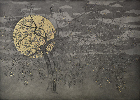 Angus Hampel 'Flamenco Poise' etching, aquatint and gold leaf on Somerset Rag (100% cotton paper) Ed of 33 25x35cm
