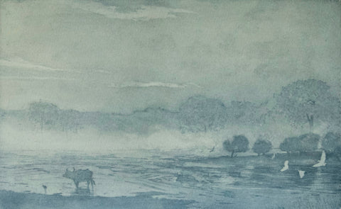 Angus Hampel 'Three Buffalo' etching and aquatint on Somerset Rag (100% cotton paper) ed of 15 43x49cm