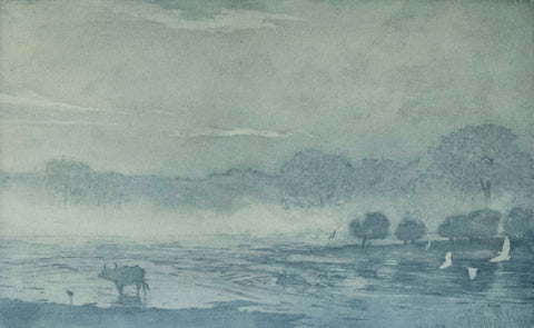 Angus Hampel 'Three Buffalo' etching and aquatint on Somerset Rag (100% cotton paper) ed of 15 43x49cm