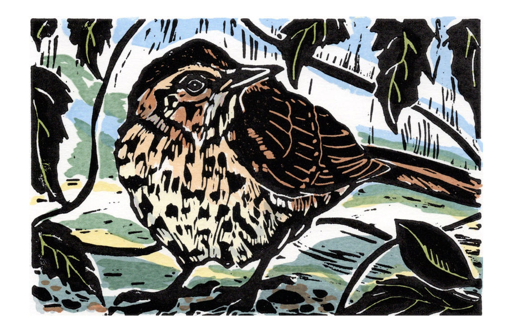 Original limited edition print by Anita Saunders, available to buy at Iona House Gallery in-store and online