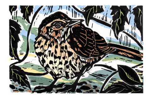 Anita Saunders 'Thrush' linocut with screen ed of 11 18x13cm
