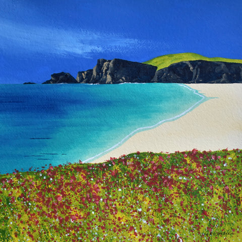 Anthony Barber 'Wildflowers, Mangersta, Lewis' watercolour 36x36cm