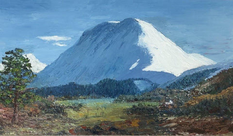 Calum MacFarlane-Barrow 'Beinn Mhic-Mhonaidh' oil on canvas 30x50cm (frame 49x70cm)