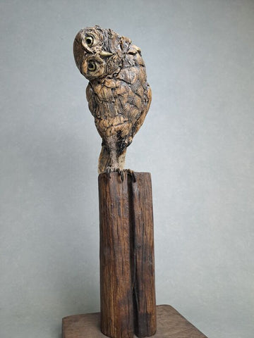 David Cooke 'Little Owl' ceramic 50x20x20cm