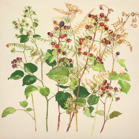 Emma Chambers 'Early Summer Study, Blackberries and Bracken' egg tempera on board 30x30cm 33x33cm framed