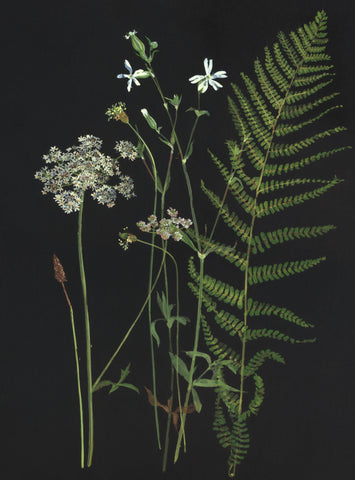 Emma Chambers 'Early Summer Study, Hogweed and Fern' egg tempera on board 40x30cm 43x33cm framed