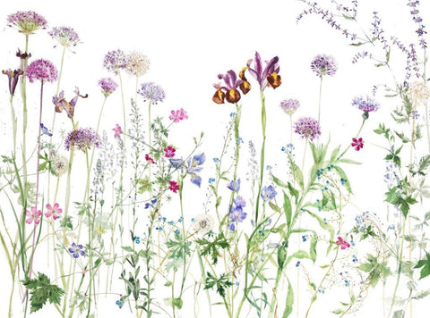 Emma Chambers RI 'June Garden' oil on gesso board 60x80cm