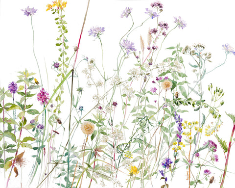 Emma Chambers RI 'Meadow' limited edition print 40x50cm