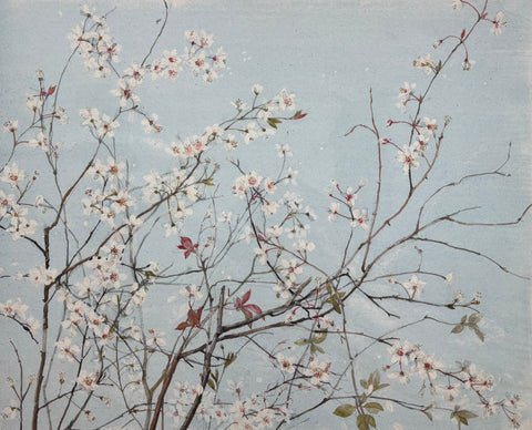 Emma Chambers 'Plum Blossom, Blue Sky' limited edition print 50x60cm