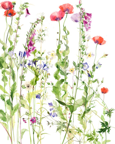 Emma Chambers RI 'June Poppies' limited edition print 50x40cm
