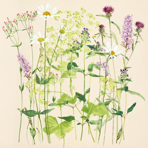 Emma Chambers 'Summer Meadow' egg tempera on board 30x30cm, 33x33cm framed