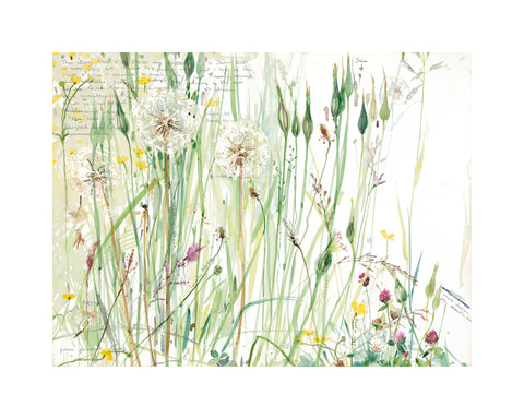 Emma Chambers RI 'The day the dog stole my trousers' limited edition print 30x40cm
