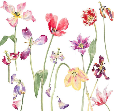 Emma Chambers RI 'Tulips' limited edition print 50x40cm