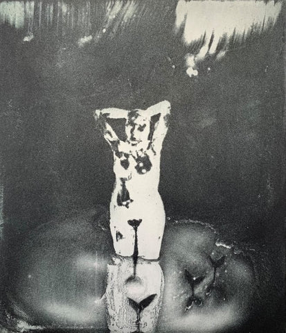 Flora McLachlan 'Washing by Moonlight' limited edition etching 24x20cm (framed)