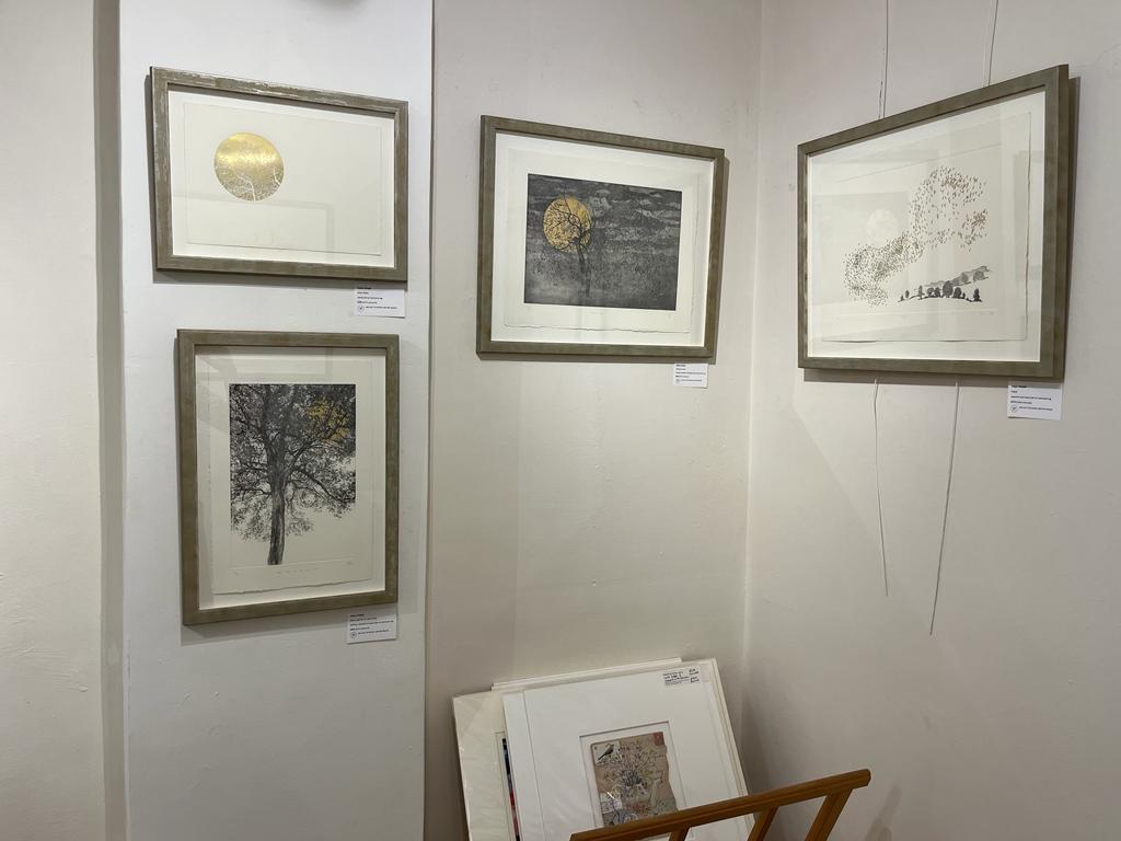 Original etching, aquatint and gold leaf print by Angus Hampel, available to buy at Iona House Gallery in-store and online.