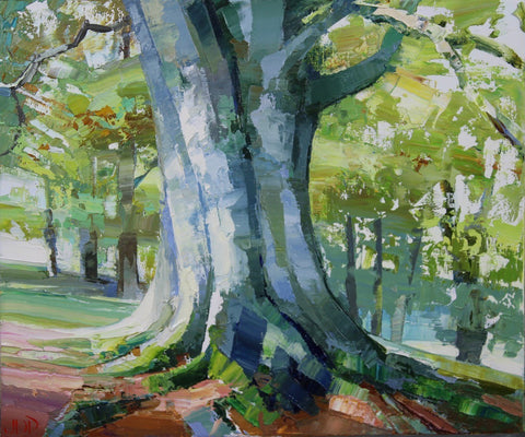 Jonathan Pocock 'Ancient Beech' 24x30cm oil on linen