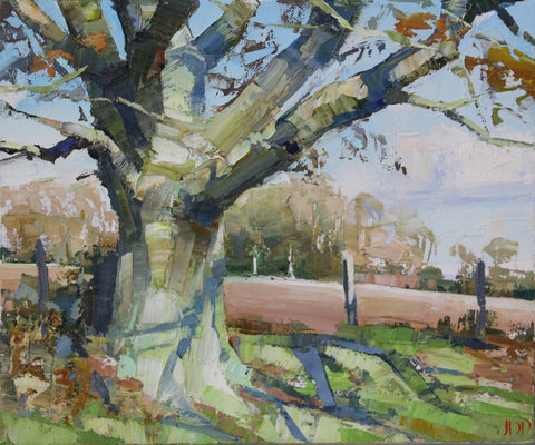 Jonathan Pocock 'Headland Oak' 24x30cm oil on linen