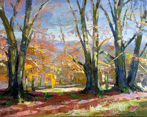 Jonathan Pocock 'Line of Beeches' oil on linen 40x50cm
