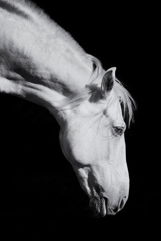 Karen Bennett 'Deep Spirit' photography on fine art paper 76x51cm