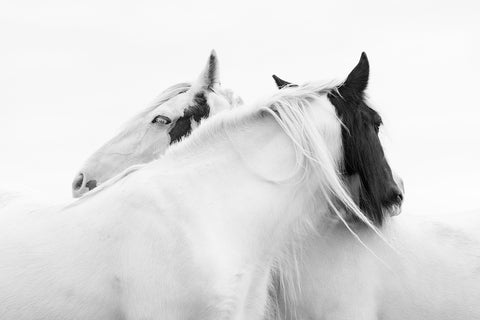 Karen Bennett 'Entwined' photography on fine art paper 46x30.5cm