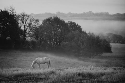 Karen Bennett 'Grey Dawn' photography on fine art paper 46x30.5cm